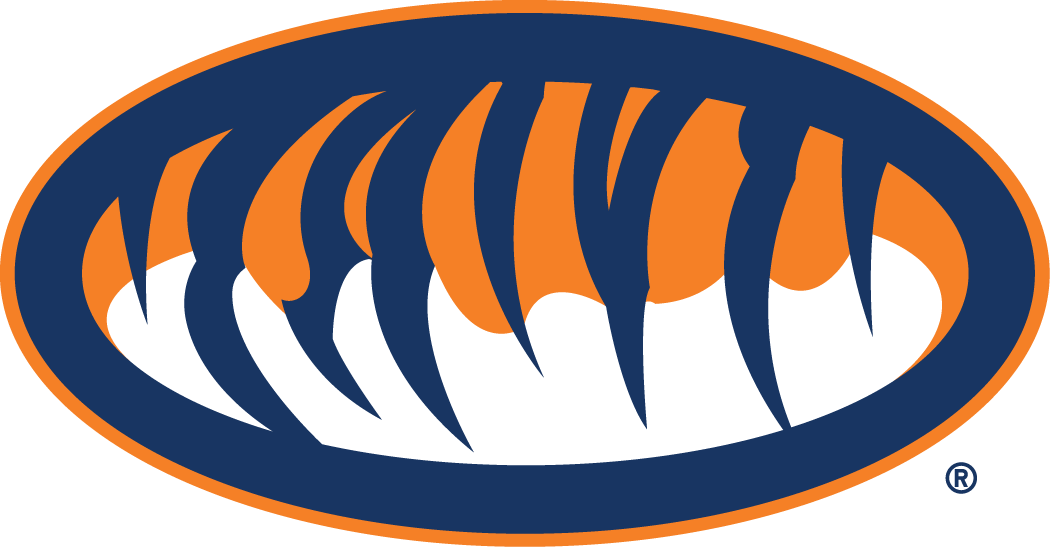 Auburn Tigers 1998-Pres Alternate Logo v2 diy fabric transfer